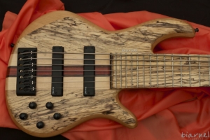 Biarnel Iter7c Spalted