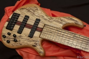Biarnel Iter7c Spalted