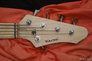 Biarnel Prassi 5c frassino