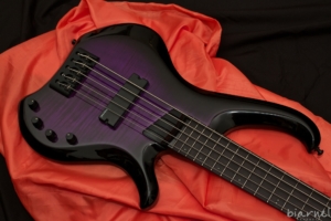 Biarnel liuteria Stige viola