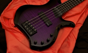 Biarnel liuteria Stige viola