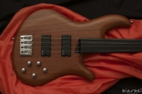 Biarnel Iter 4c Fretless Mogano