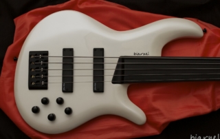 Biarnel Iter 5c Fretless Bianco Perlato