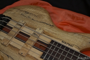 Biarnel Liuteria Scorcio 5c spalted