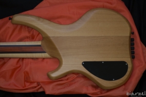 Biarnel Liuteria Scorcio 5c spalted